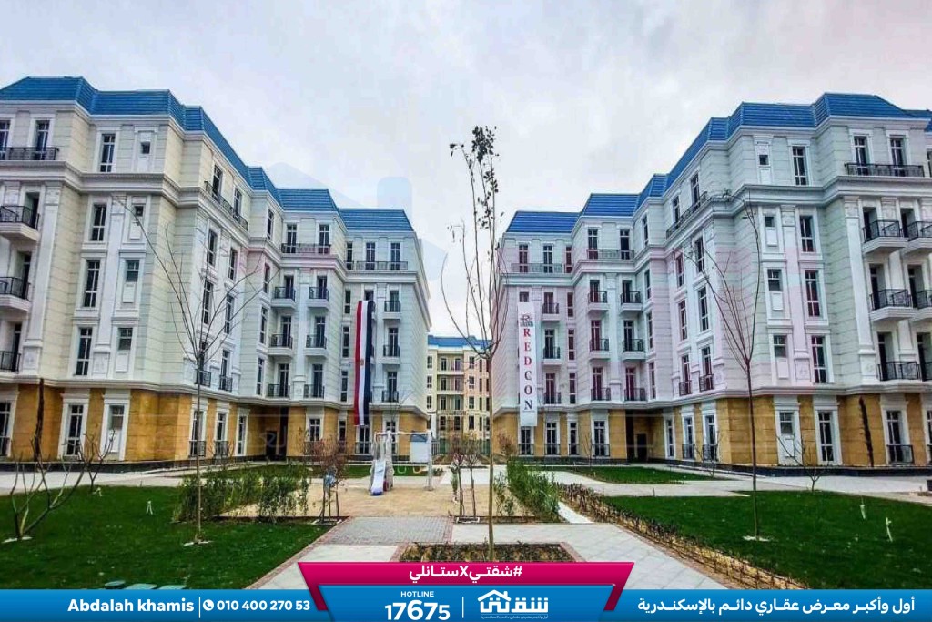 Latin City Live Photos-4