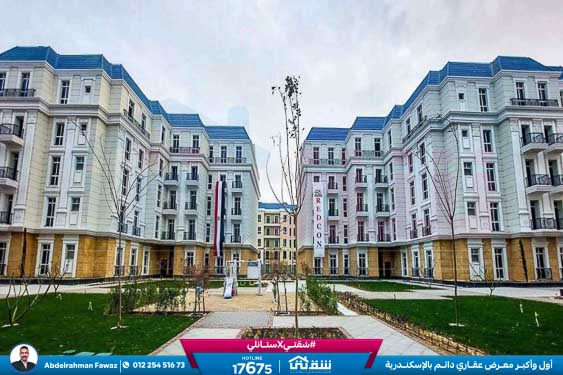 Latin City Live Photos-4