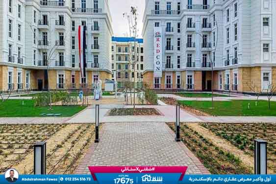 Latin City Live Photos-5