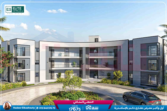 Q North brochure-119