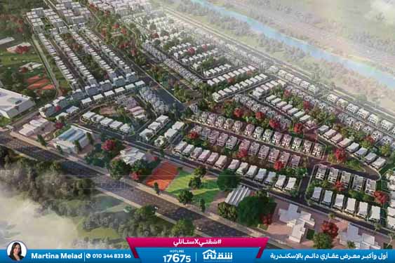 WhatsApp Image 2024-08-28 at 4.29.03 PM (2)