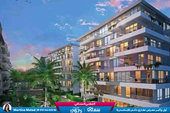 WhatsApp Image 2024-08-28 at 4.29.03 PM