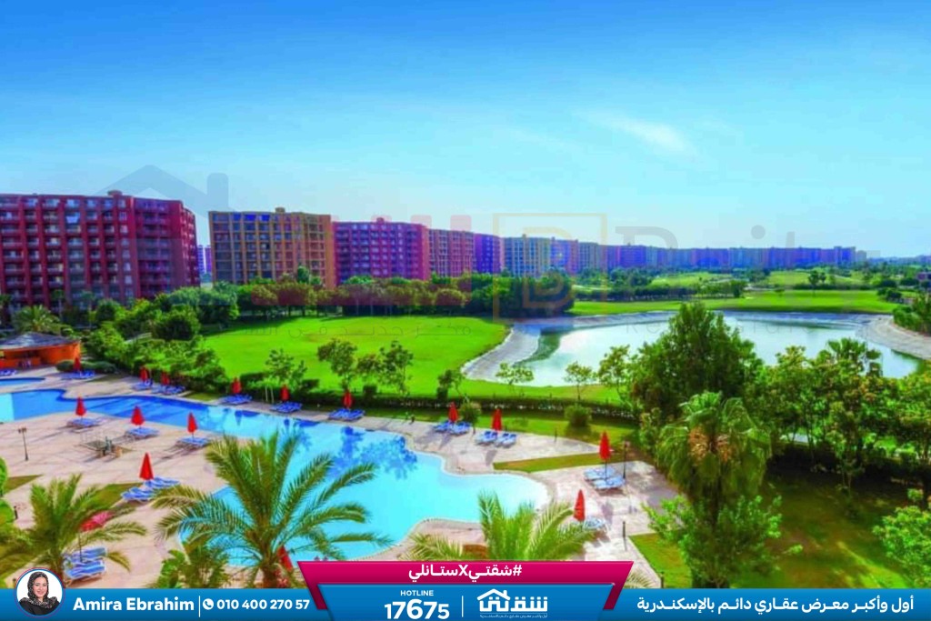 WhatsApp Image 2024-10-12 at 2.11.54 PM