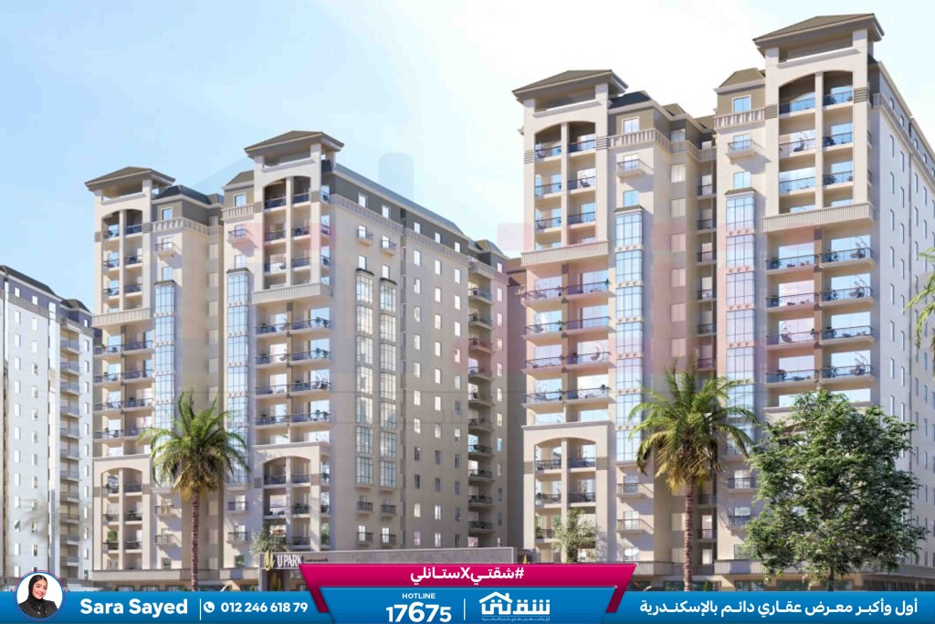 WhatsApp Image 2024-11-06 at 11.04.03 AM (1)