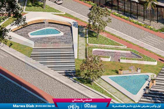 WhatsApp Image 2024-11-20 at 8.29.34 PM (1)