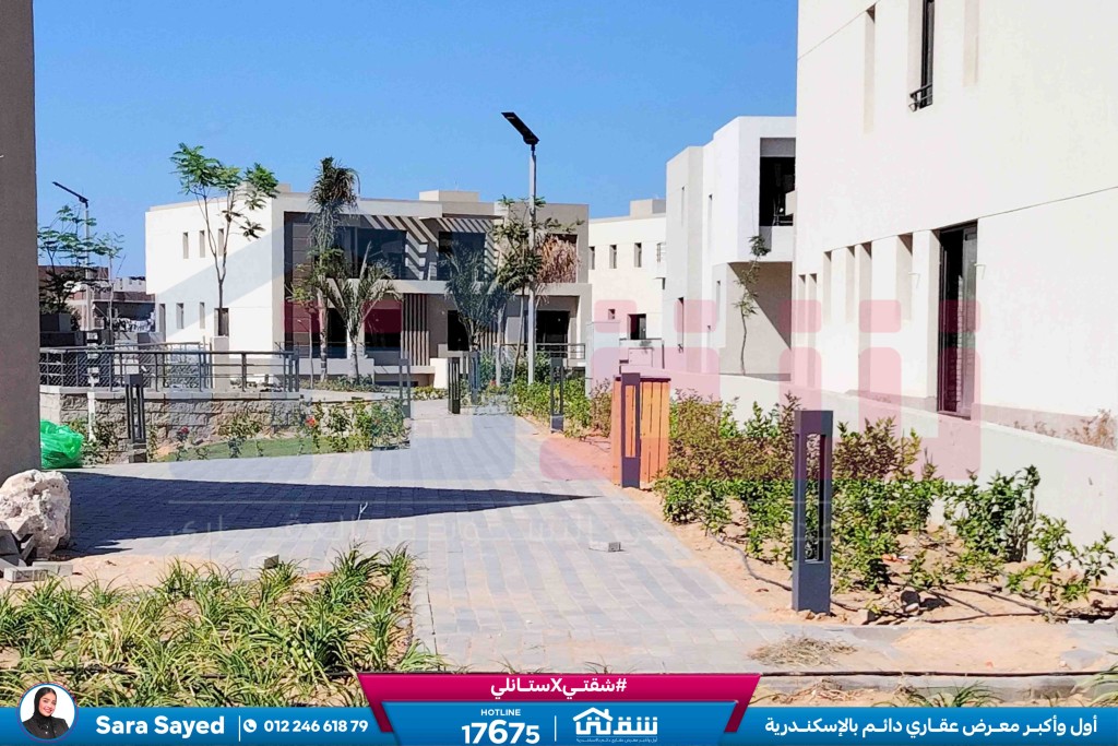 WhatsApp Image 2024-11-27 at 1.14.01 PM (1)