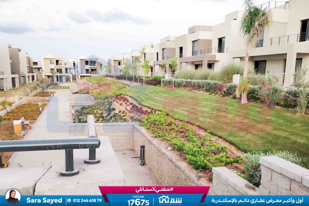 WhatsApp Image 2024-11-27 at 1.14.01 PM (3)