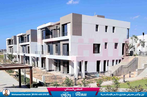 WhatsApp Image 2024-11-27 at 1.14.01 PM