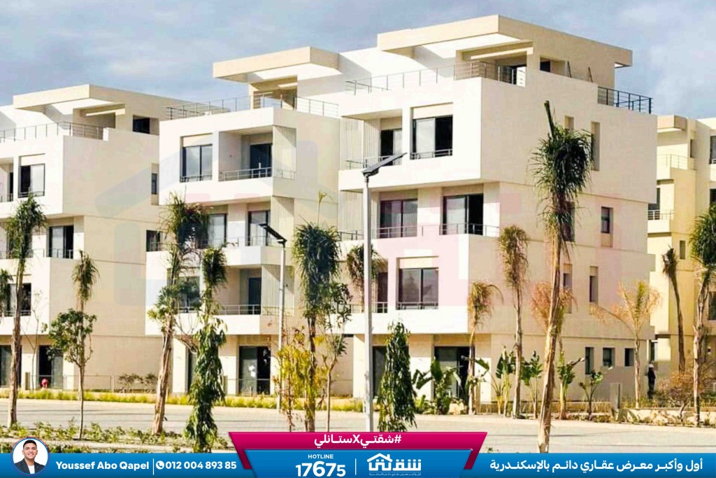 WhatsApp Image 2024-12-06 at 3.47.21 AM