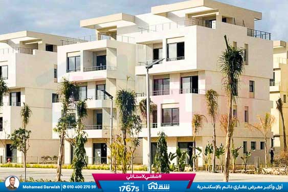 WhatsApp Image 2024-12-06 at 3.47.21 AM