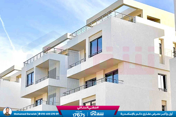 WhatsApp Image 2024-12-06 at 3.47.22 AM