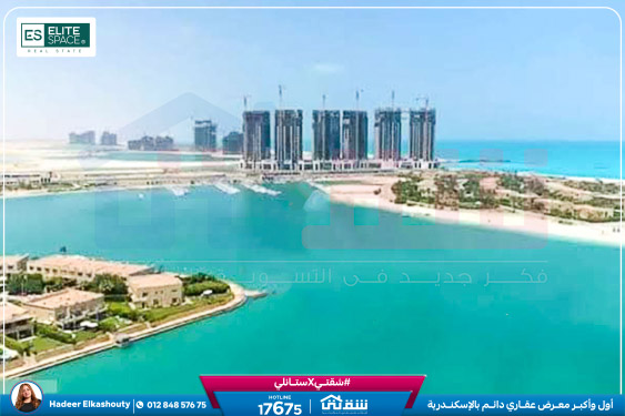 WhatsApp Image 2025-02-15 at 6.00.07 PM (1)