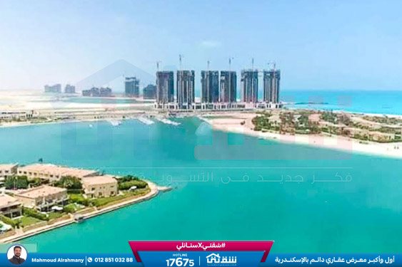 WhatsApp Image 2025-02-15 at 6.00.07 PM (1)