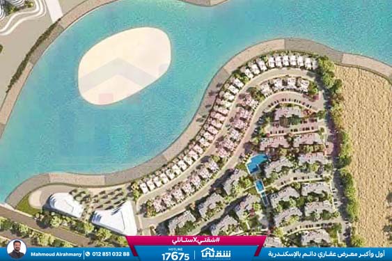 WhatsApp Image 2025-02-15 at 6.00.07 PM