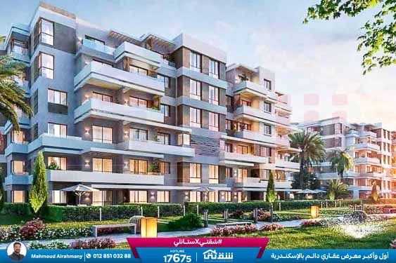 WhatsApp Image 2025-02-15 at 6.00.08 PM