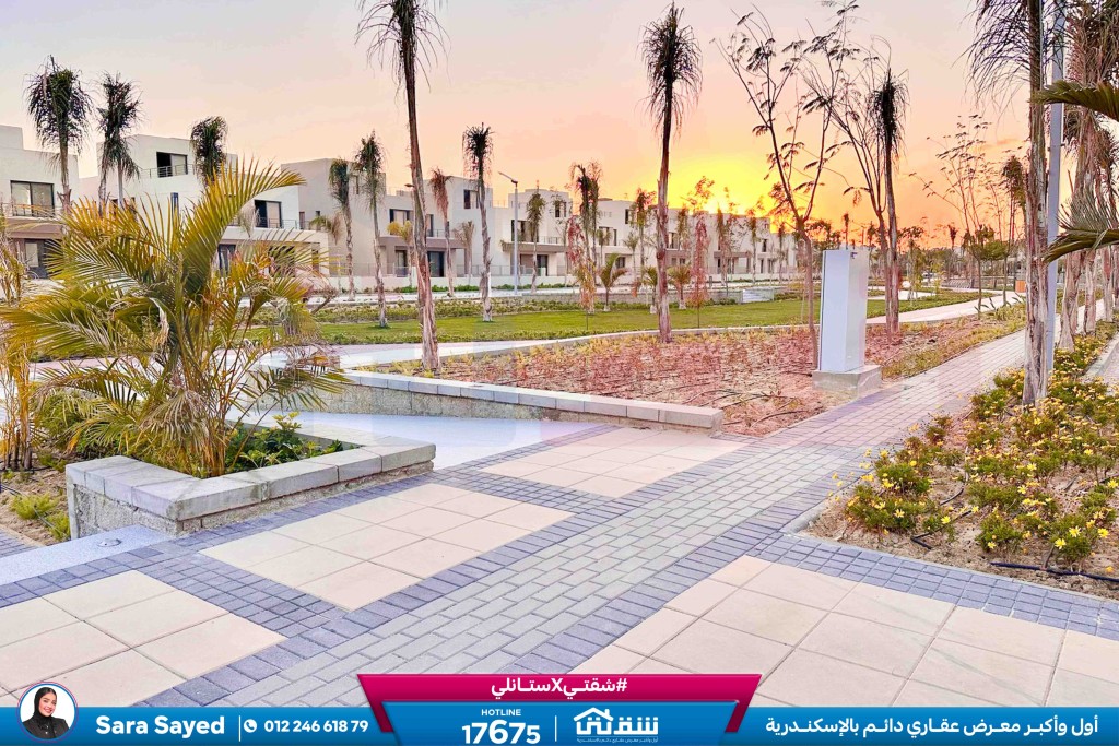 WhatsApp Image 2025-03-10 at 2.34.17 PM (1)