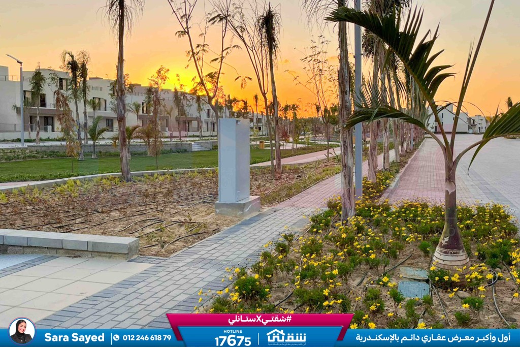 WhatsApp Image 2025-03-10 at 2.34.18 PM (1)