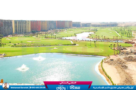 WhatsApp Image 2025-05-06 at 12.31.20 PM (1)