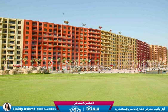 WhatsApp Image 2025-05-06 at 12.31.21 PM