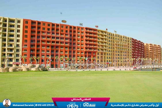 WhatsApp Image 2025-05-06 at 12.31.21 PM