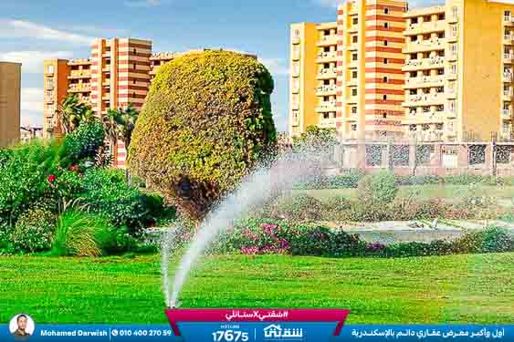 WhatsApp Image 2025-05-06 at 12.31.22 PM (1)