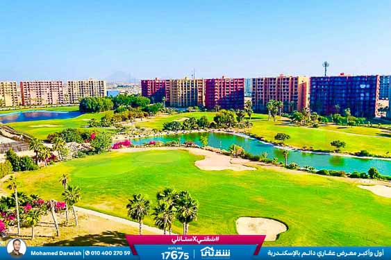 WhatsApp Image 2025-05-06 at 12.31.22 PM