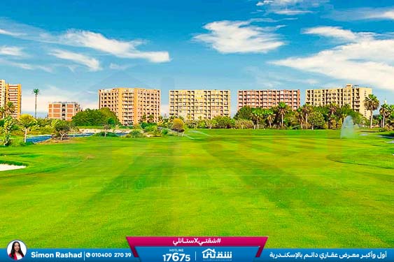 WhatsApp Image 2025-05-06 at 12.31.24 PM (1)