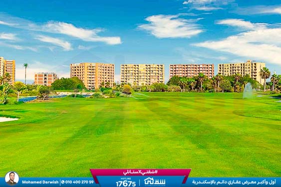 WhatsApp Image 2025-05-06 at 12.31.24 PM (1)