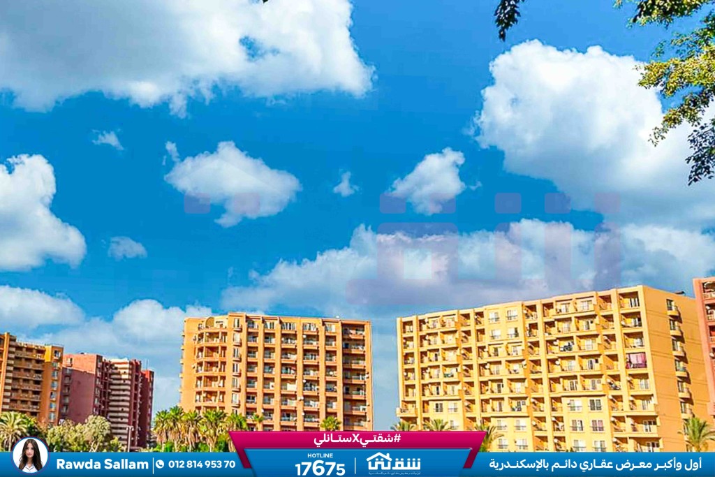 WhatsApp Image 2025-05-06 at 12.31.24 PM