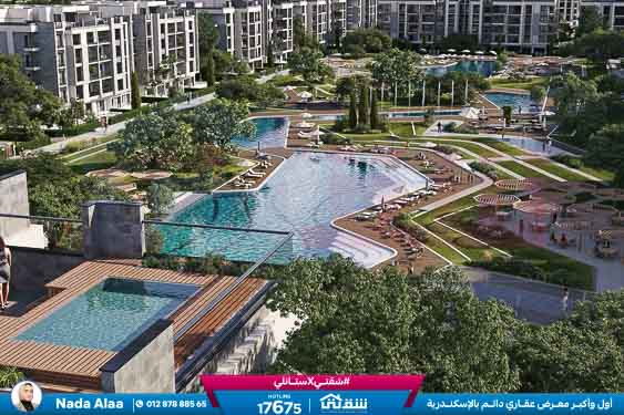 WhatsApp Image 2025-05-28 at 2.53.44 PM