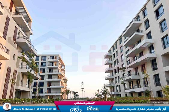 WhatsApp Image 2025-09-21 at 5.39.33 PM