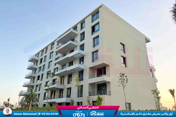 WhatsApp Image 2025-09-21 at 5.39.34 PM