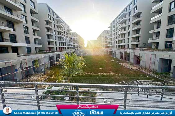 WhatsApp Image 2025-09-21 at 5.39.35 PM