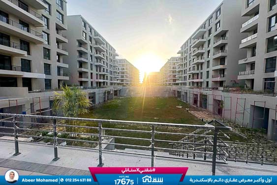 WhatsApp Image 2025-09-21 at 5.39.37 PM