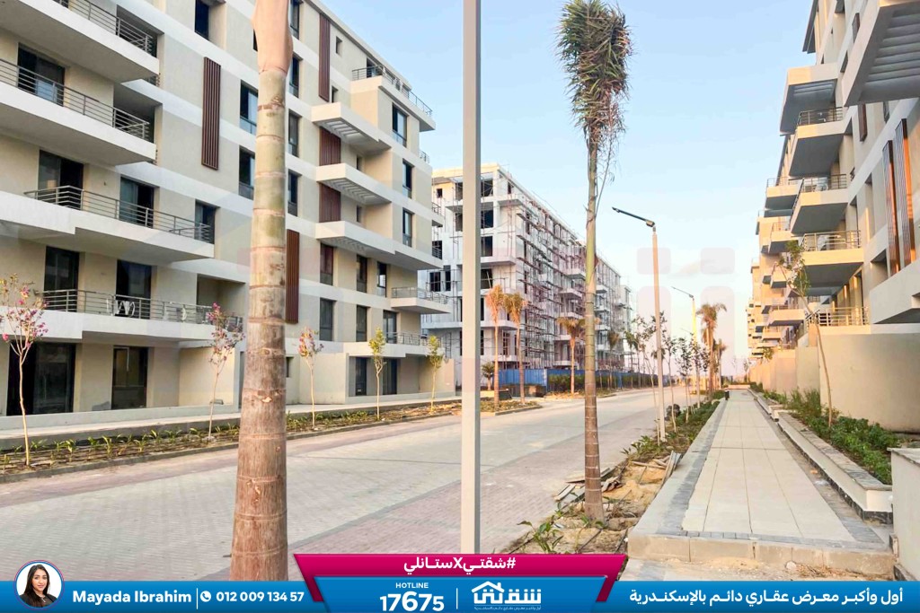 WhatsApp Image 2025-09-21 at 5.39.38 PM