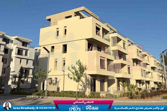 WhatsApp Image 2025-10-28 at 4.53.02 PM