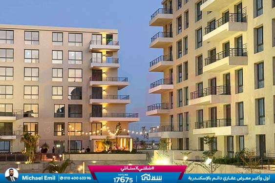 WhatsApp Image 2025-11-10 at 1.00.50 PM