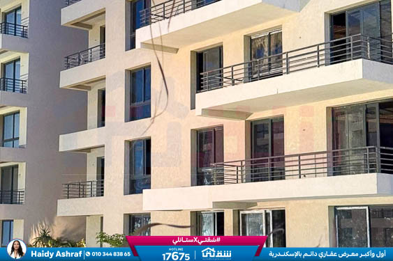 WhatsApp Image 2025-11-10 at 1.00.53 PM