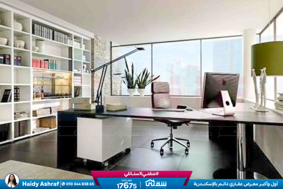 WhatsApp Image 2025-11-11 at 1.23.59 PM