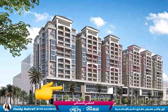 WhatsApp Image 2025-11-11 at 1.25.40 PM