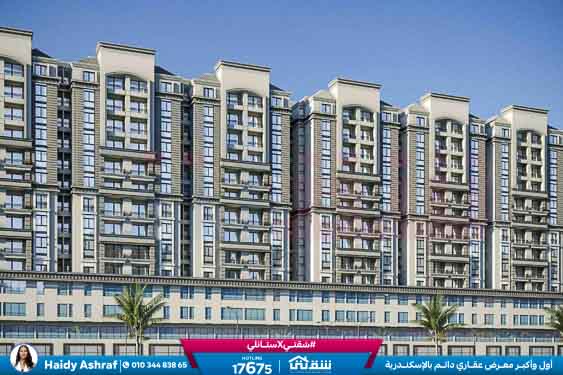 WhatsApp Image 2025-11-11 at 1.38.09 PM