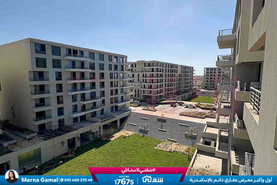 WhatsApp Image 2025-11-15 at 2.21.29 PM (1) - Copy