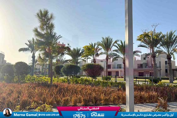 WhatsApp Image 2025-11-15 at 2.21.30 PM (1)