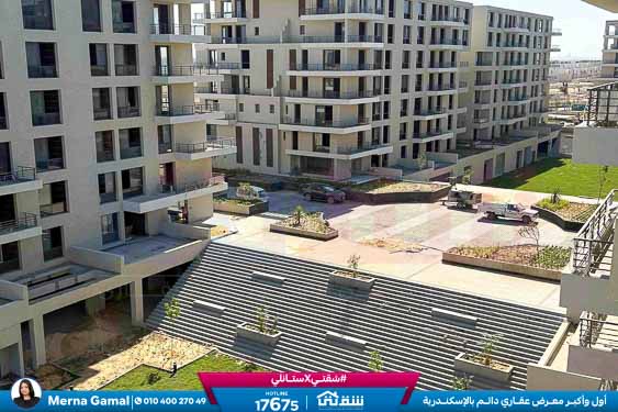 WhatsApp Image 2025-11-15 at 2.21.31 PM (1)