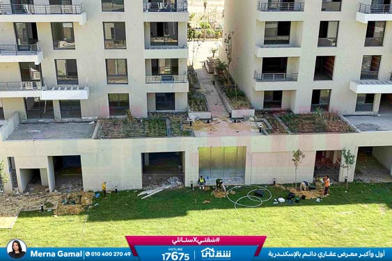 WhatsApp Image 2025-11-15 at 2.21.31 PM (2) - Copy