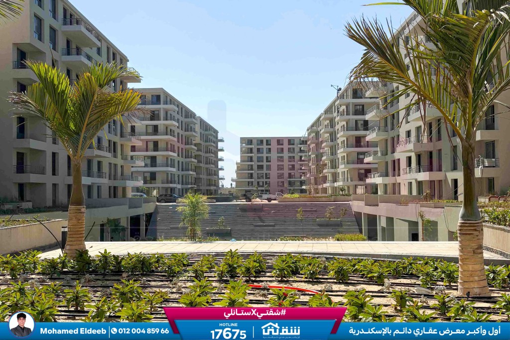 WhatsApp Image 2025-11-15 at 2.21.32 PM (1)