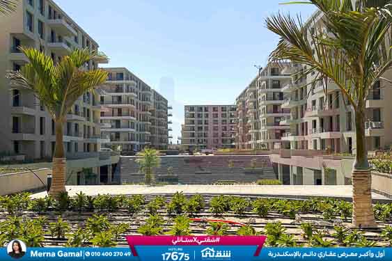 WhatsApp Image 2025-11-15 at 2.21.32 PM (1)