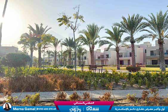 WhatsApp Image 2025-11-15 at 2.21.33 PM (1)