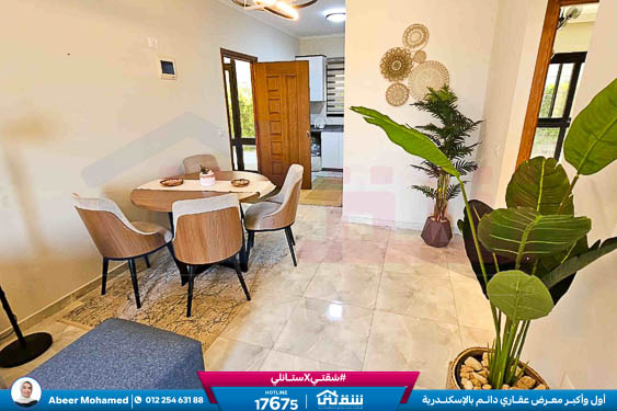 WhatsApp Image 2025-12-24 at 16.14.43 (1)