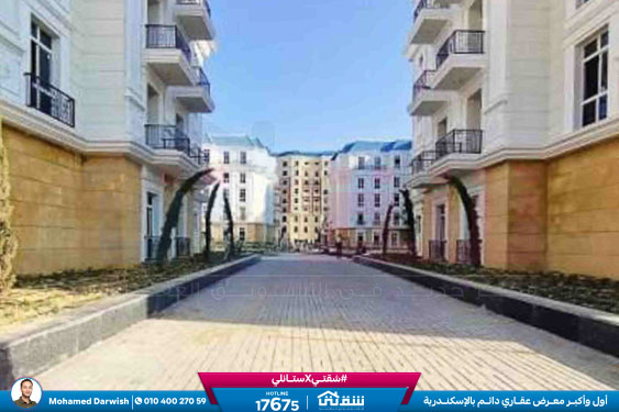 WhatsApp Image 2025-12-25 at 15.18.39 (1)